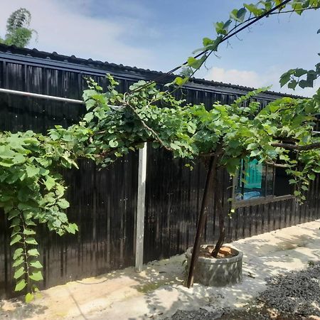 บ้านสวนปวิชญา เกษตรอินทรี Fang Exterior foto