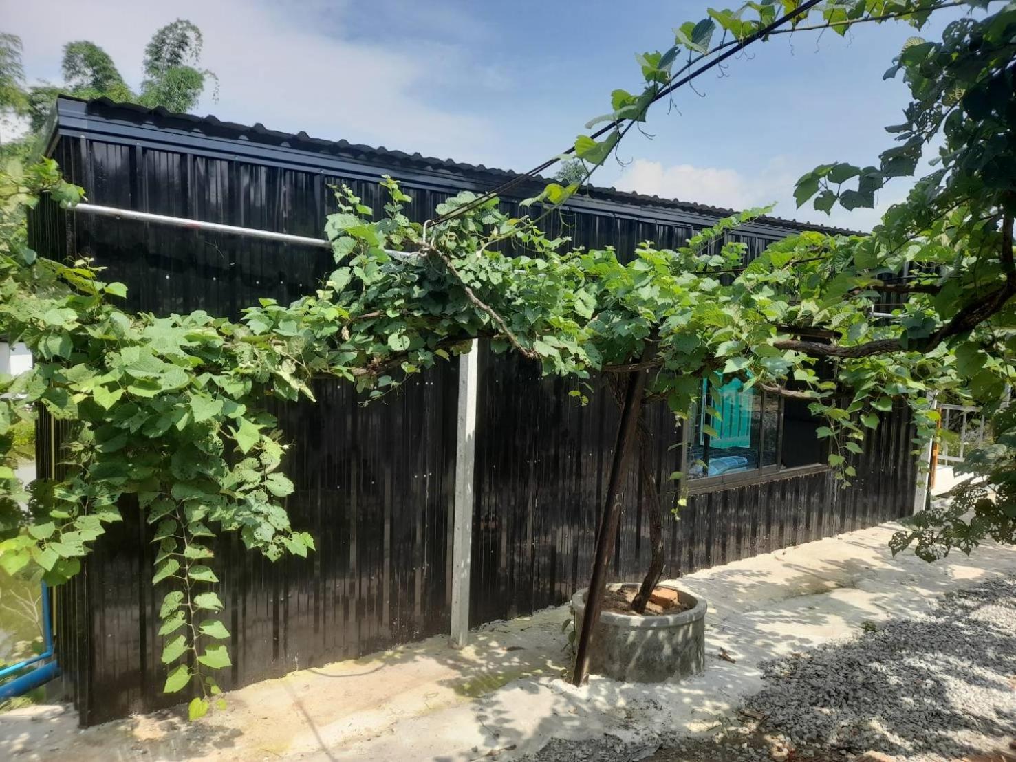 บ้านสวนปวิชญา เกษตรอินทรี Fang Exterior foto